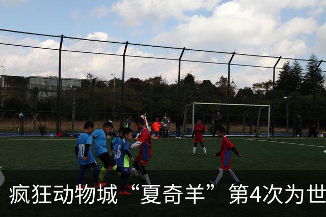 疯狂动物城“夏奇羊”第4次为世界杯开嗓，版税将全捐用于贫困儿童教育